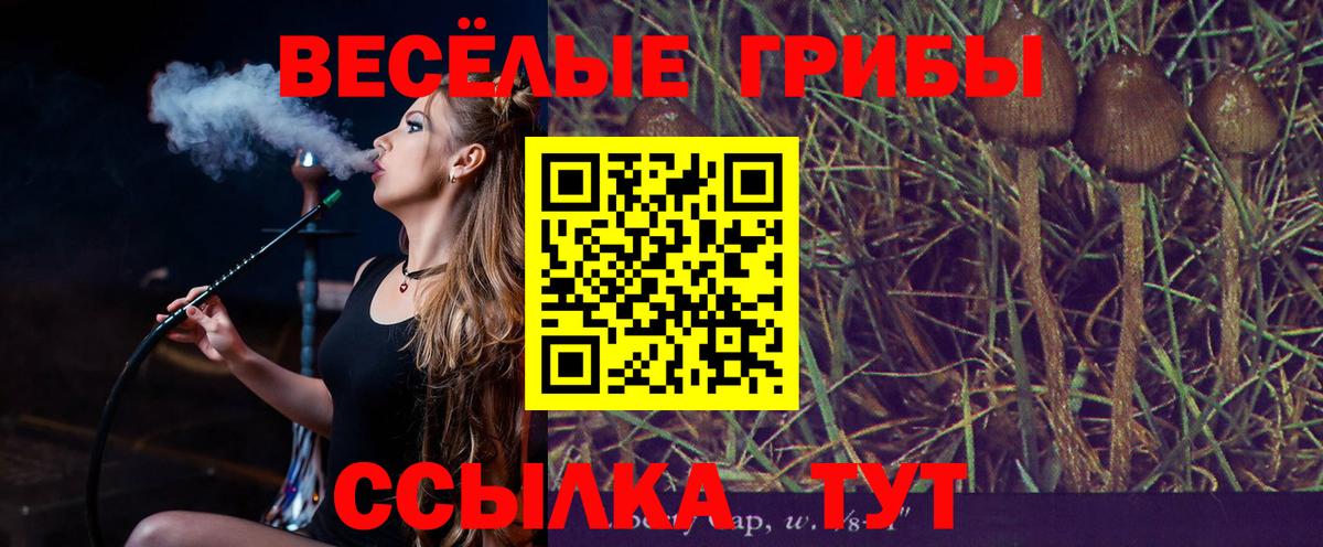 Галлюциногенные грибы мицелий  Вход с VPN  Менделеевск  Галлюциногенные грибы Magic Shrooms 